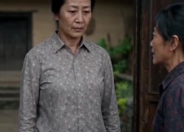 【一禾寄北】100集短剧免费在线高清赏剧