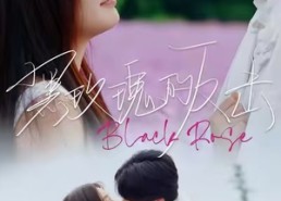 【黑玫瑰的反击】47集免费短剧全集观看