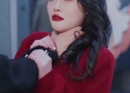 【粉丝不是韭菜】36集全集短剧免费赏看