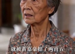 【我开鸡煲店后，侄子悔哭了】81集热门短剧免费看全集