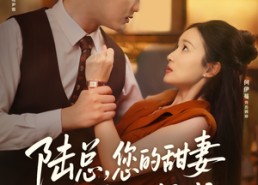 【陆总您的甜妻已到达深城】62集短剧免费全剧在线看