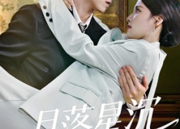 【月落星沉两心知】40集短剧免费全集畅快观看