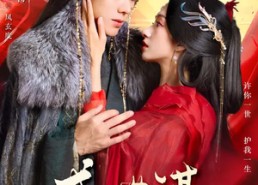 【盛世谋】84集热门短剧免费全集赏看