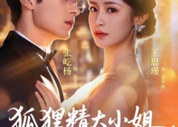【狐狸精大小姐，贺总他驾驭不了】74集短剧免费全集赏看
