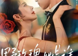 【野玫瑰她是谁】84集热门短剧免费在线畅看