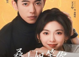 【桑小姐，等你离婚很久了】70集短剧在线免费尽情看