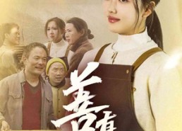 【善有善报】31集短剧在线免费全集览