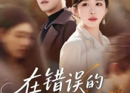 【在错误的时间遇见你】61集短剧全集免费高清看