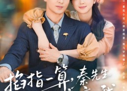 【掐指一算，秦先生应是暗恋我】78集短剧免费在线完整看