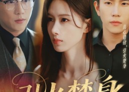 【引火焚身】61集免费短剧在线速看