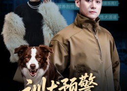 【我靠听懂狗说话当场打脸黑粉】55集短剧全网免费在线看