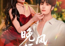 【晚风栖野】80集超清短剧免费在线看全集