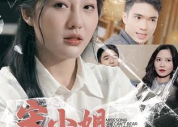 【宋小姐她不忍了】18集短剧免费在线全剧看