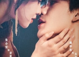 【当归遇上野格】66集在线短剧免费赏看