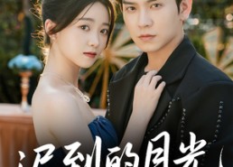 【迟到的月光】80集完整短剧免费在线欣赏