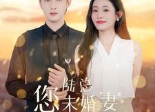 【陆总您未婚妻又作又茶】100集短剧在线免费畅看