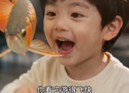 【订婚日记：携娃归情深】120集短剧全集在线观看无广告