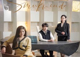 【曦光映峥途】55集在线短剧免费尽情看