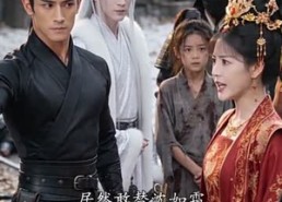 【九尾恩缘】67集精彩短剧免费在线播放