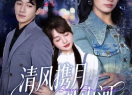 【明月照我赴征程】75集高清短剧免费畅看