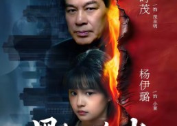 【黑色焰火】41集精彩短剧全集免费看