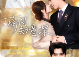 【南风知意深】40集短剧免费全集流畅播放