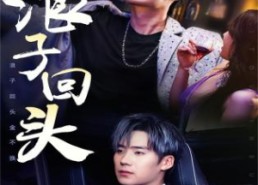 【浪子回头金不换】78集短剧免费全集畅快看