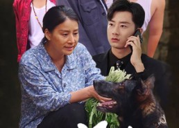 【望子归来】50集短剧全集免费在线速看