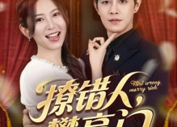 【撩错人攀高门】73集免费全集短剧在线畅看