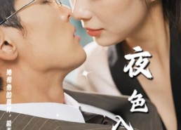 【夜色入魂】61集短剧免费在线速观看