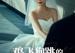 【鸡飞狗跳的婚后生活】28集短剧夸克网盘在线看