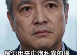 【我藏锋芒，娇妻护我三年】48集短剧全集免费速看