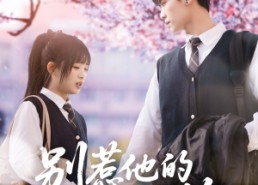 【别惹他的小可怜】87集在线短剧免费品鉴