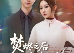 【焚烬之后有春风】86集免费短剧畅享观看