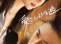 【爱你在劫难逃】58集免费短剧在线畅快观