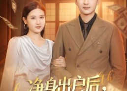 【净身出户后，我转身踏青云】70集短剧完整版免费观看