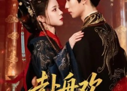 【赴舟欢】61集短剧在线免费完整赏