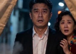 【风起九四，向阳而生】52集短剧免费全集在线赏看