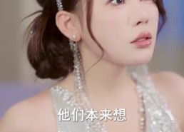 【夫人说离婚得加钱】90集短剧全集免费在线畅看