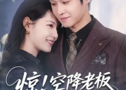 【惊！空降老板是前男友】65集短剧免费高清观看