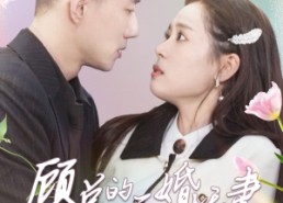 【顾总的二婚娇妻】79集短剧全集免费直看