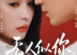 【无人似你】70集短剧免费在线畅快观看