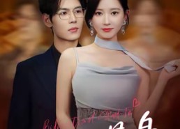 【双向替身】80集精彩短剧在线观看无阻