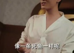 【你是我的最爱】82集短剧免费全集赏观