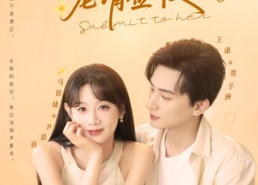 【贺少您的偏宠请签收】90集在线短剧免费全赏