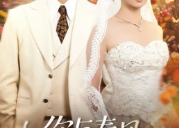 【你与春风皆过客】66集全集短剧免费在线观瞧