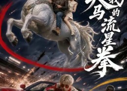 【别惹我的天马流星拳】40集短剧免费全集览看