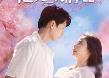 【他先动的心】90集短剧免费完整观看