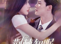 【荆棘知眠】81集高清短剧免费在线畅看