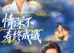 【情深不寿终成谶】74集短剧在线免费观看